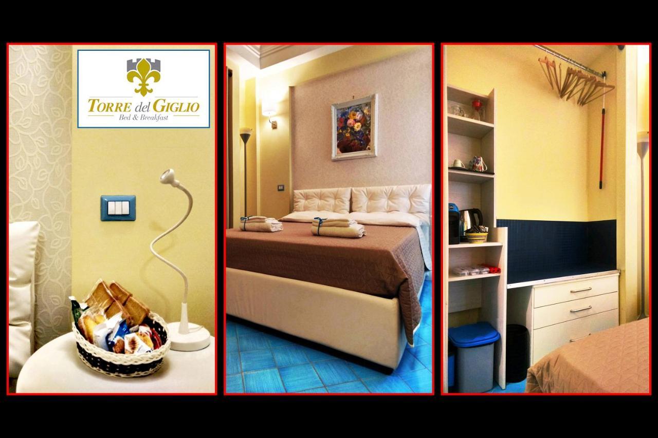 Torre Del Giglio Bed & Breakfast 萨莱诺 外观 照片